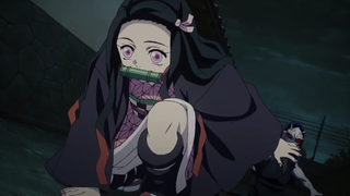 Nezuko sẽ có mặt vì anh ❤️ [ Kimetsu no yaiba ]