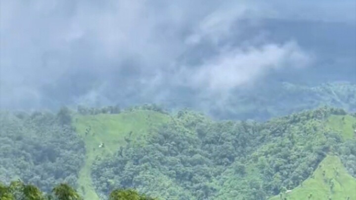 bilibili.tv