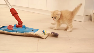 ช่างเป็นอะไรที่แย่มาก! ออกไปจากที่นี่!