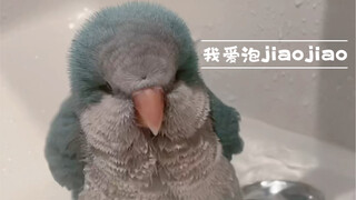 谁能拒绝毛茸茸，最后有惊喜