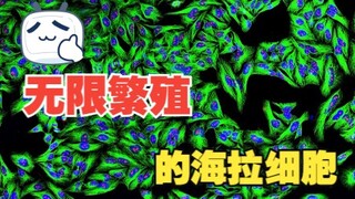 يمكن لخلايا هيلا أن تتكاثر إلى أجل غير مسمى، لكن مالكها مات منذ 70 عامًا