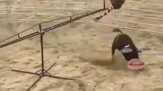 我看你们怎么下来