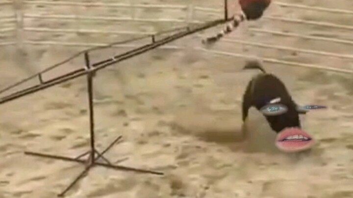 I'll see how you get down.