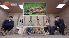 (ENG CC) Jungle Bob S02 - 5
