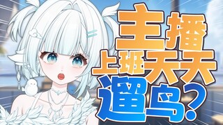 主播当主播之前是做什么的？