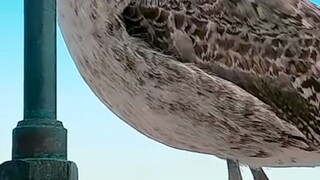 人生