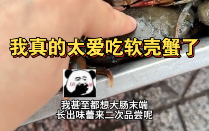 Vietnam has achieved soft-shell crab freedom!