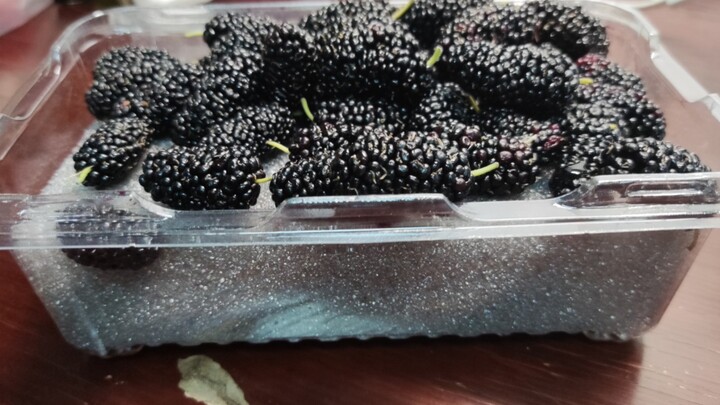 I bought a sponge pad for ten yuan, and the merchant also gave me mulberries. There are so many good