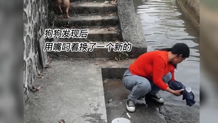 This dog is as well-behaved as a kid!!