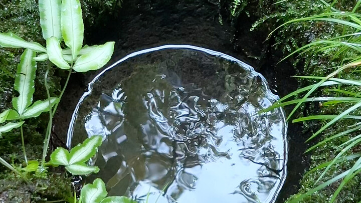 I finally understand the automatic water storage. As long as I post it, you can all see it. If I pos
