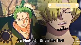 one piece p12 tổng hợp TikTOk  tình cảm hài hước sôi động hữu trung