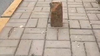 快看，这条路怎么了？！