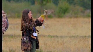 After watching the last goshawk game, I couldn't help but laugh
