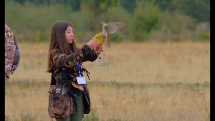 After watching the last goshawk game, I couldn't help but laugh