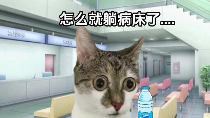 医院低血糖之一命速通