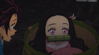 Tomioka Giyuu nhờ Tanjiro đưa Nezuko đến học việc với Rintaki Sakonji và trở thành thành viên của độ