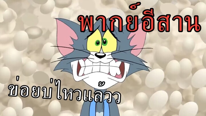 ทอมแอนด์เจอร์รี่ พากย์อีสาน ไข่เต็มบ้านไข่เต็มฟาร์ม