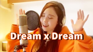 【爱内里菜】原唱重唱系列—《Dream X Dream》名侦探柯南剧场版银翼的魔术师主题曲！