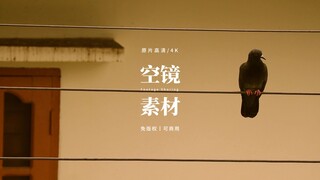 【免版权空镜】“Falling autumn”