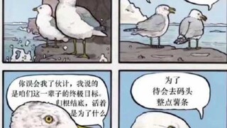 《我能有什么坏心思呢》全集。人间清醒，社会哲学。