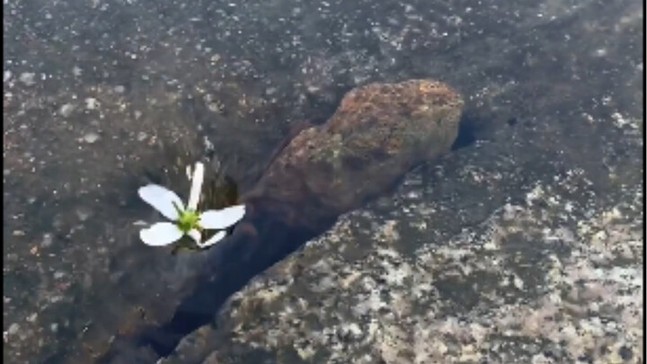 Menemukan Hal-hal Menarik