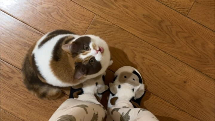 She’s such a master at acting cute!