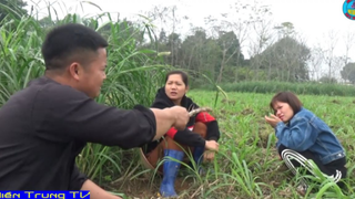 EM HUYỀN Nổi Cáu Với ANH BÉO Ở Đồng Cỏ Về Việc ..._MÁT XA CÂY CHUỐI_ Chuyện Có 1