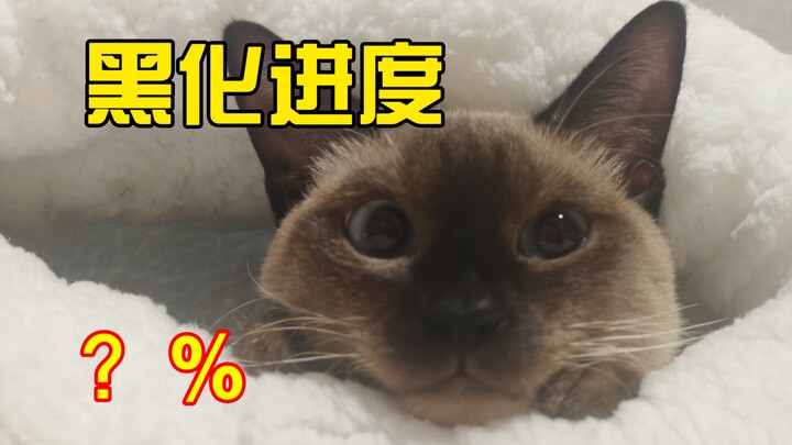 Không có nghĩa vụ phải giữ màu trắng