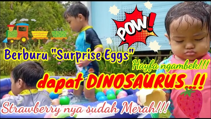 Berburu DINOSAURUS Surprise Eggs dan panen strawberry di kebun