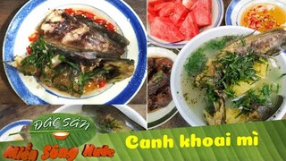 Canh CÁ TRÊ nấu KHOAI MÌ nêm LÁ GỪNG đúng vị MIỀN TÂY - NGON NGẤT NGÂY | Đặc sản miền sông nước