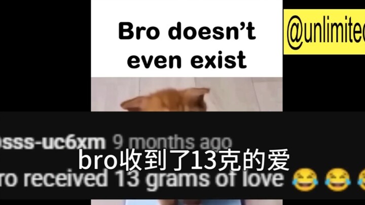 bro甚至不存在