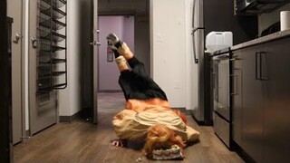 HAPPY BIRTHDAY NEZUKO CHAN!!