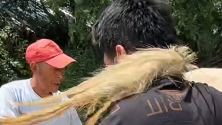 Cô tôi lo lắng nên đã nhờ bố tôi đến nhà cô ấy để giúp đỡ và cuối cùng đã cứu được một cặp song sinh