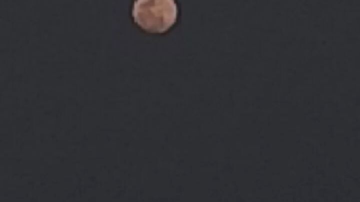 A Glance  of 31 January 2026