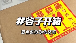 这么可爱的小东西到底是谁在吃｜蓝锁动物努努开箱