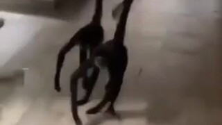 ‘Maaf-maaf, ini teman saya, dia sudah mabuk, maaf-maaf’