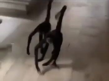 ‘Maaf-maaf, ini teman saya, dia sudah mabuk, maaf-maaf’