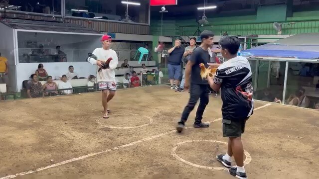 Second fight