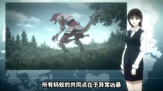 小杰和幻影旅团比起来，果然实力不是一个级别