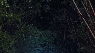นักรบไร้เทียมทานกลับมา พบว่าน้องสาวถูกขังในกรงโดนทร(720P_