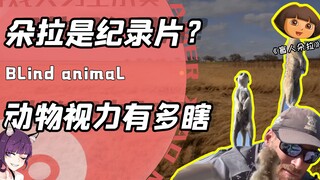 Vậy thì, Dora phiêu lưu thực chất là một bộ phim tài liệu sao? Một người nước ngoài bị bao vây bởi đ