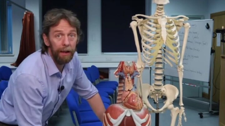 Why do people say humans are just a pile of messy, spaghetti code?