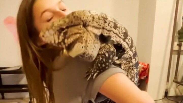 What’s it like coming home from school to find a big lizard waiting for a cuddle?