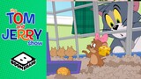 Jerry the Hamster | Tom & Jerry | Boomerang UK