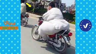 AWW New Funny Videos 2022 😂 Cutest People Doing Funny Things 😺😍 Part 18