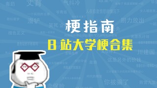 What are the memes of the teachers at Bilibili University? [Meme Guide]