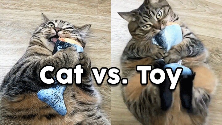 Cat Vs Toys - Funny Reaction