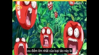 ALL IN ONE | Làm Cho Quả Táo Hốt Hoảng Là có 1 Tỷ | Review anime Hay