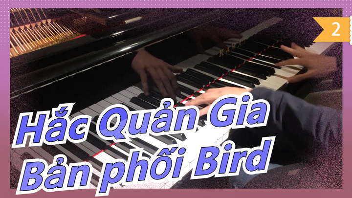 [Hắc Quản Gia Ⅱ ED] Bird (Bản piano) - Matsushita Yuya_2