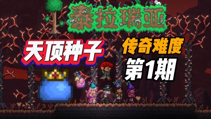 Episode 1: Dunia Zenith + Kesulitan Legendaris, Penyiksaan Level Atas!